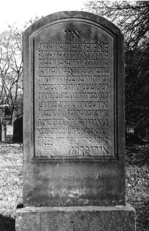 רבי שמואל בכרך.jpeg